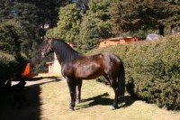 /album/fotogaleria/a22-espa-jpg/